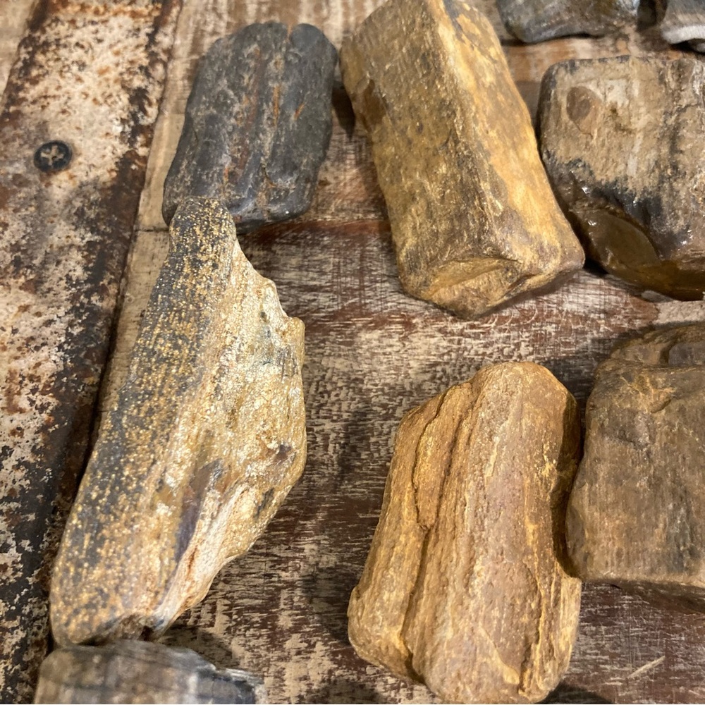 17pcs Petrified Wood 🪵 Rock Collection - Picture 14 of 17